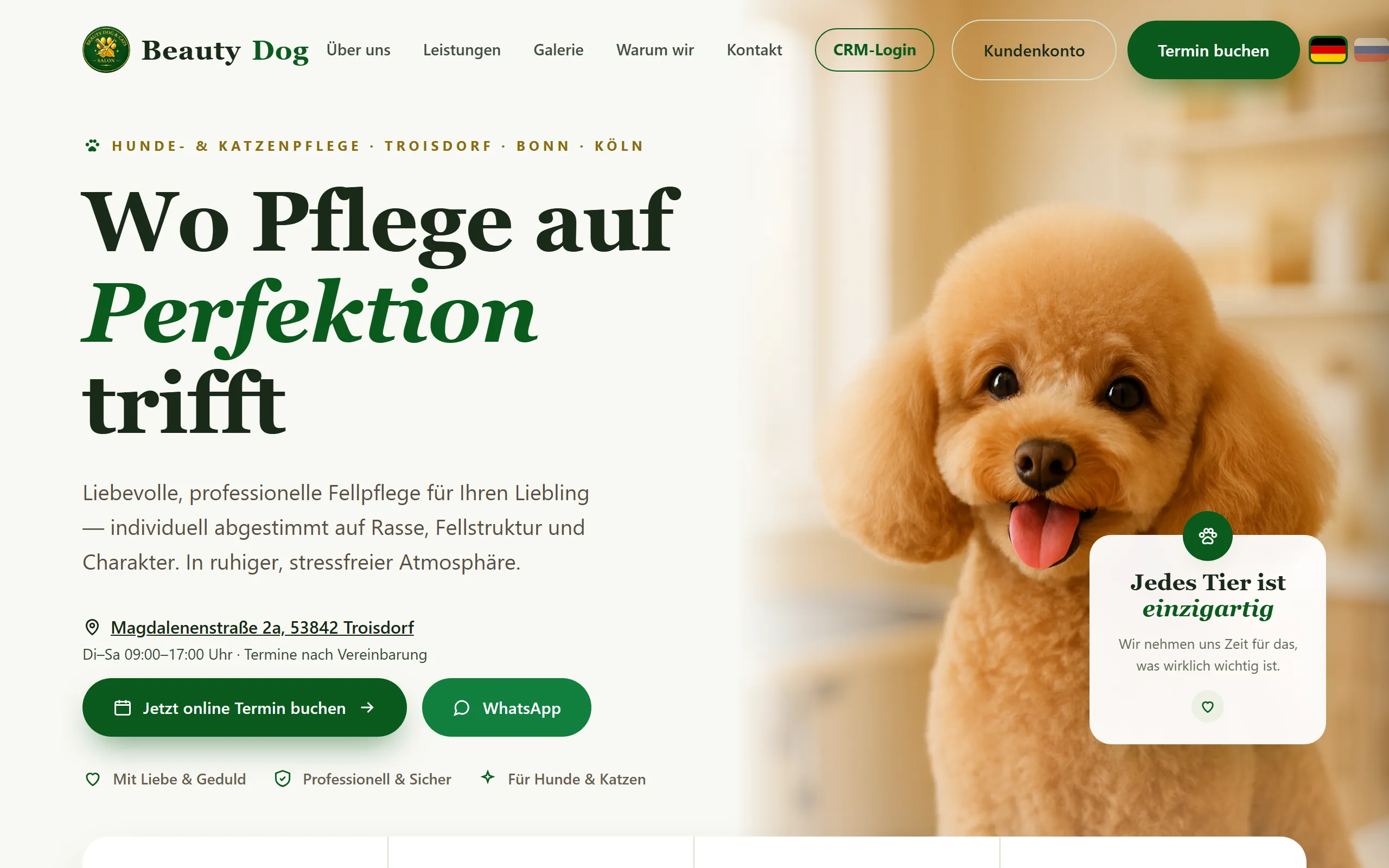 Beauty Dog Hundesalon — groomertata.de